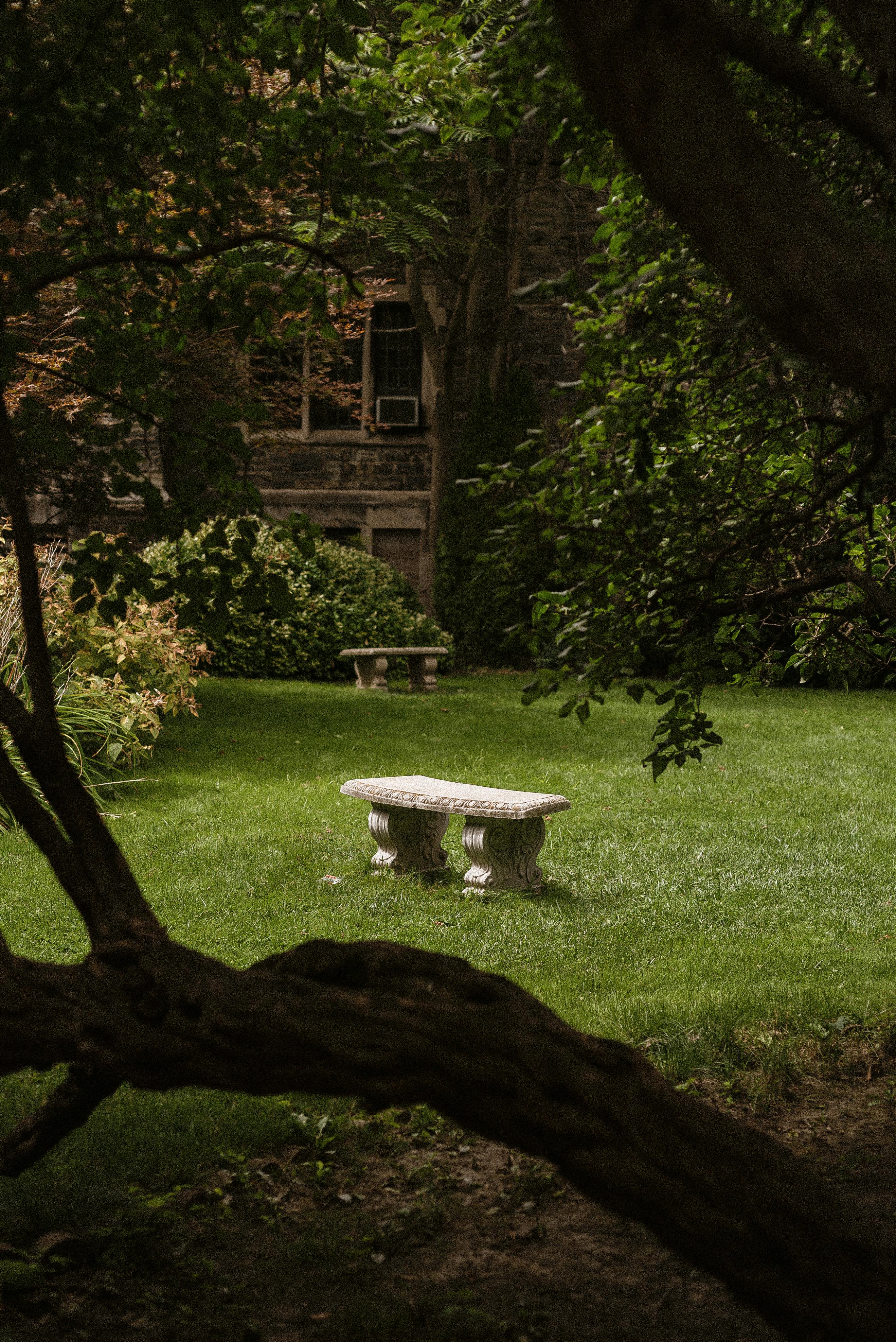 石凳宁静，四周绿树环绕，营造出静谧的花园景观