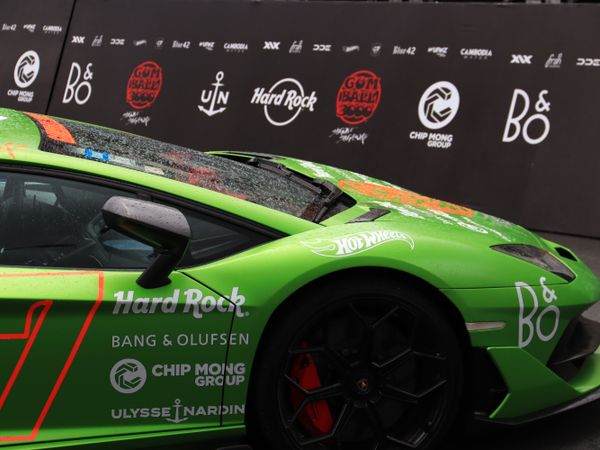 Car Bonnet & Roof Branding, image 1 of 1