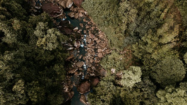 A breathtaking aerial shot of a river flowing through lush greenery in Kitulgala, Sri Lanka, showcasing nature's pure beauty.