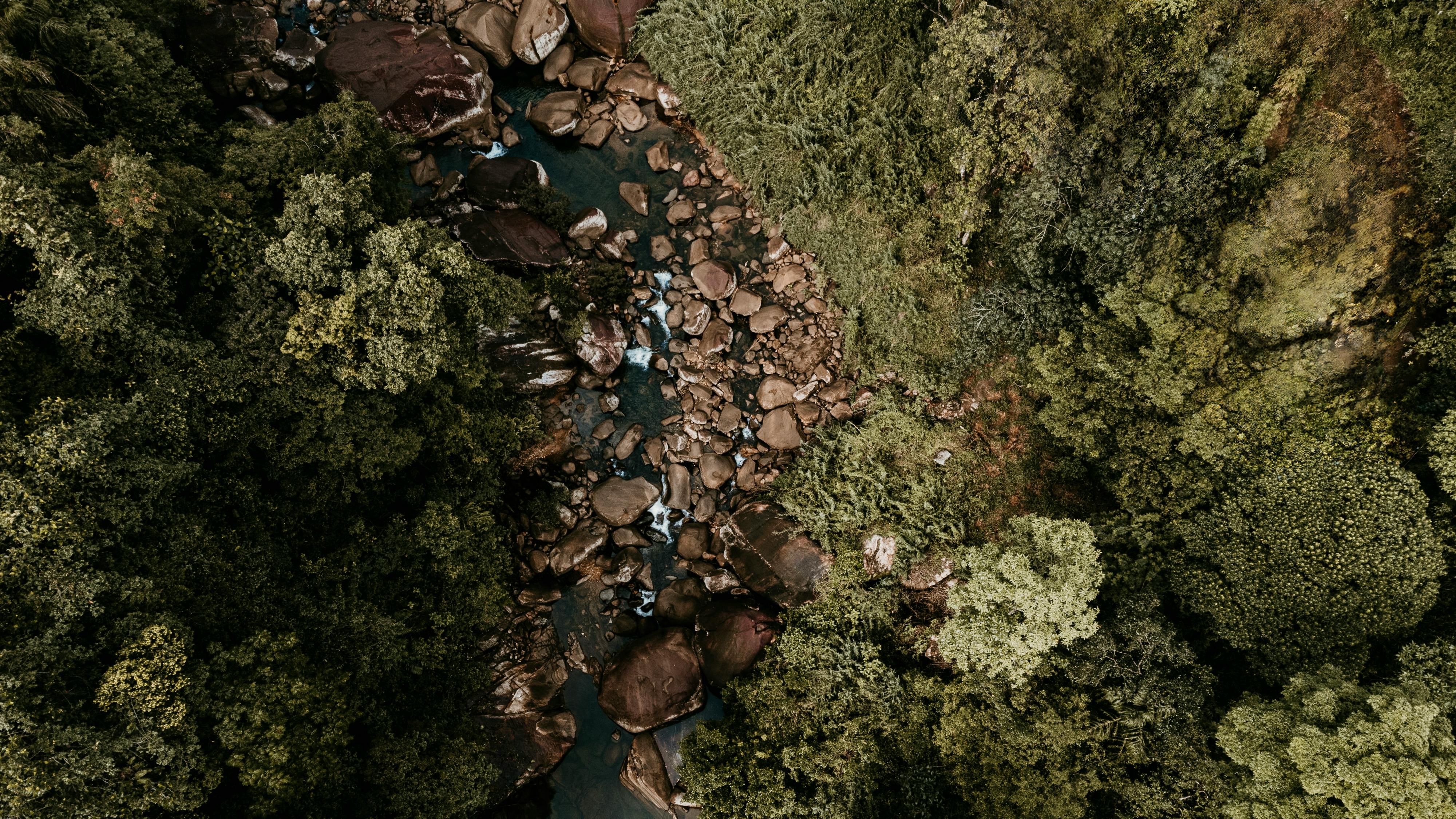Zadarmo Letecký Pohľad Na Lush River V Kitulgala Na Srí Lanke Fotka z fotobanky