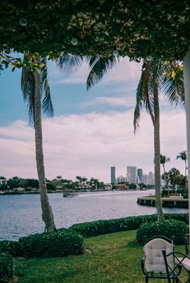 Waterfront skyline with palm trees (generic placeholder — not actually Jeddah, replace with real Jeddah waterfront photo)