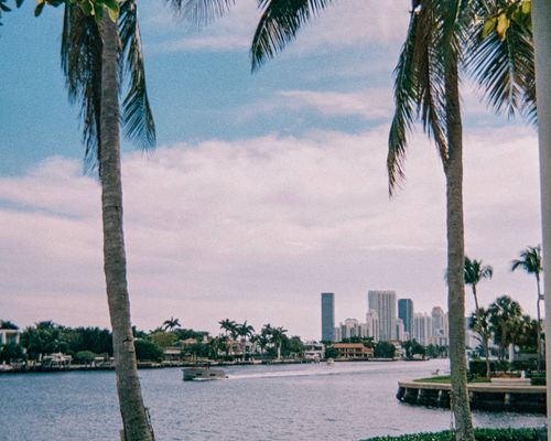 Waterfront skyline with palm trees (generic placeholder — not actually Jeddah, replace with real Jeddah waterfront photo)