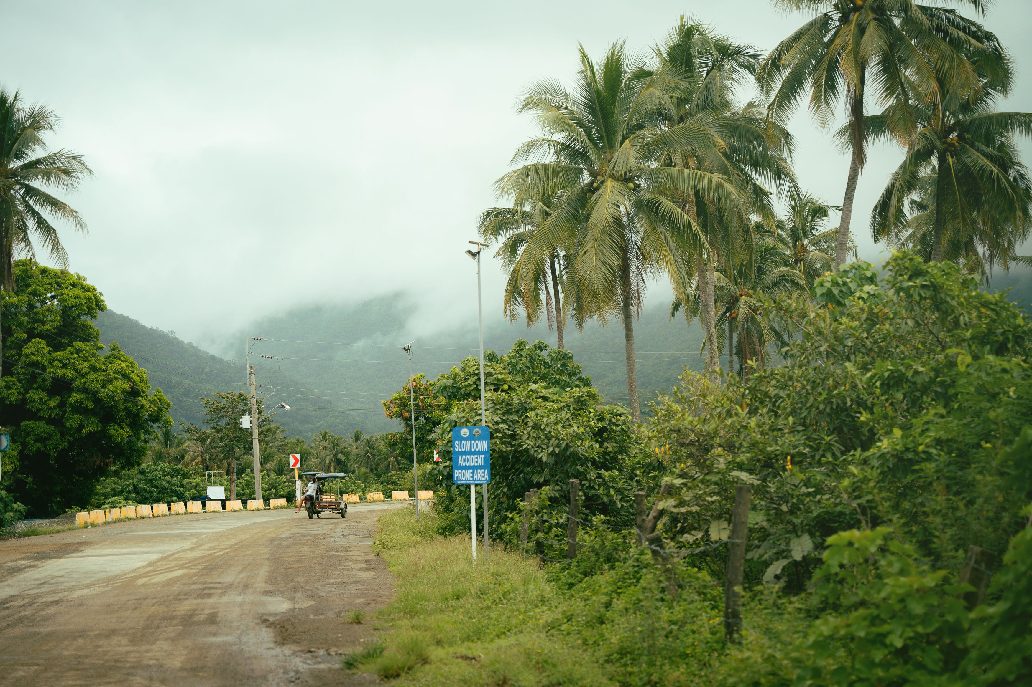 Scenic Road through Tropical Landscape with Palm Trees · Free Stock Photo