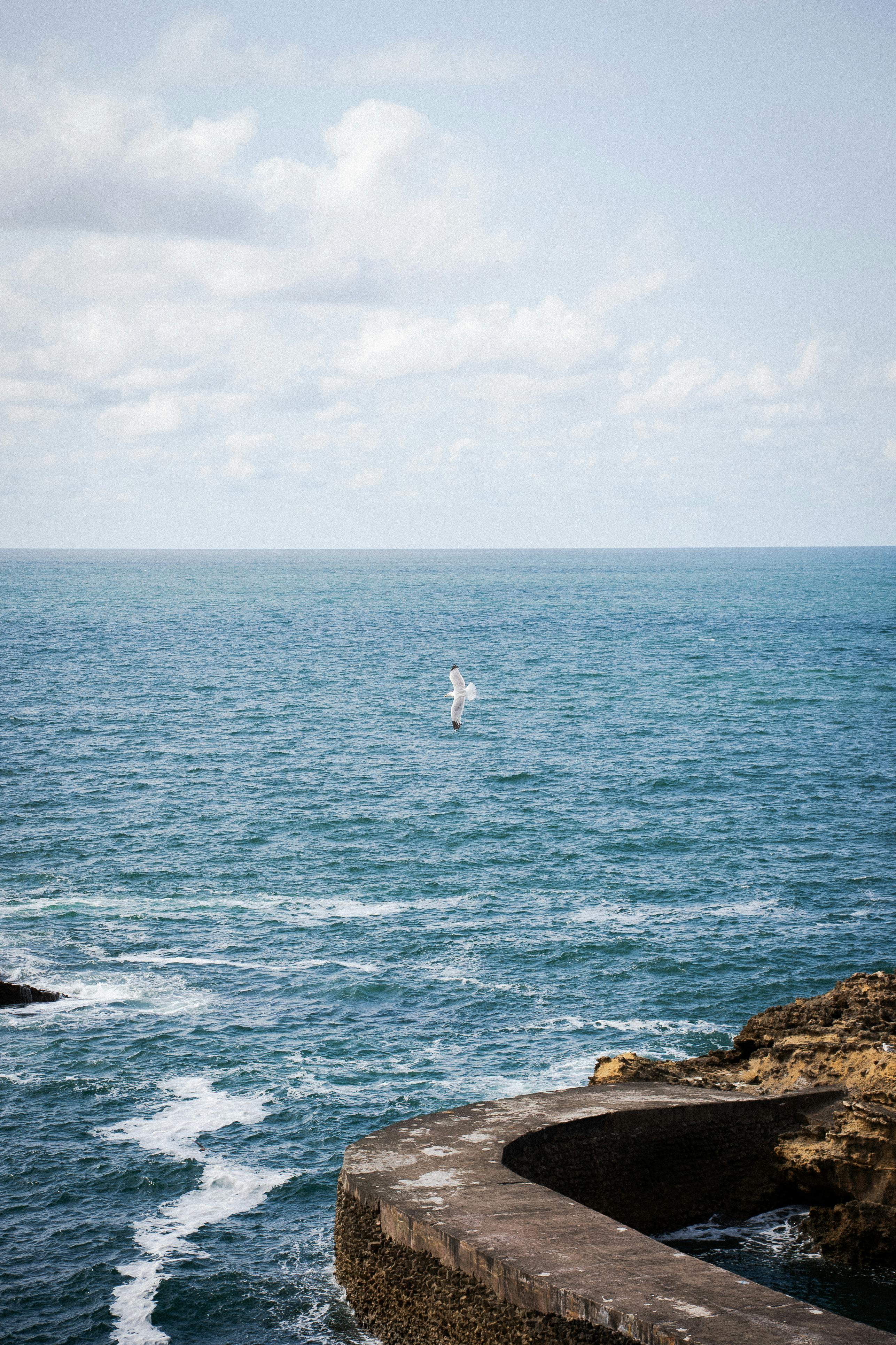 A serene view of a seagull flying over the ocean near Biarritz, France, under a cloudy sky.