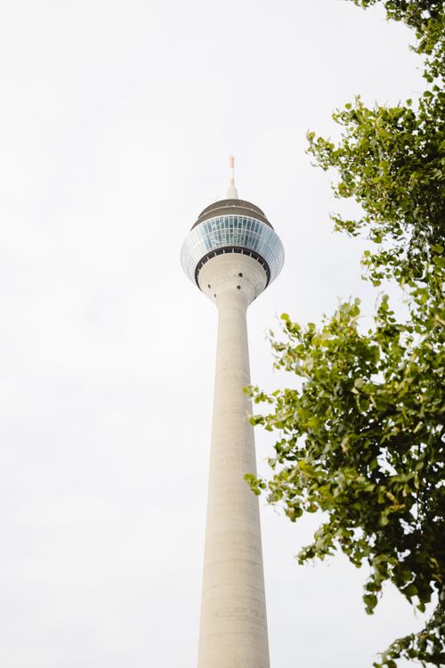 Free Iconic Rheinturm in Düsseldorf with a clear sky backdrop and leafy foreground. Stock Photo