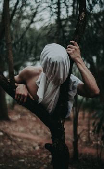 一个蒙面神秘人物爬上一棵位于奇异森林中的树，营造出超现实的氛围
