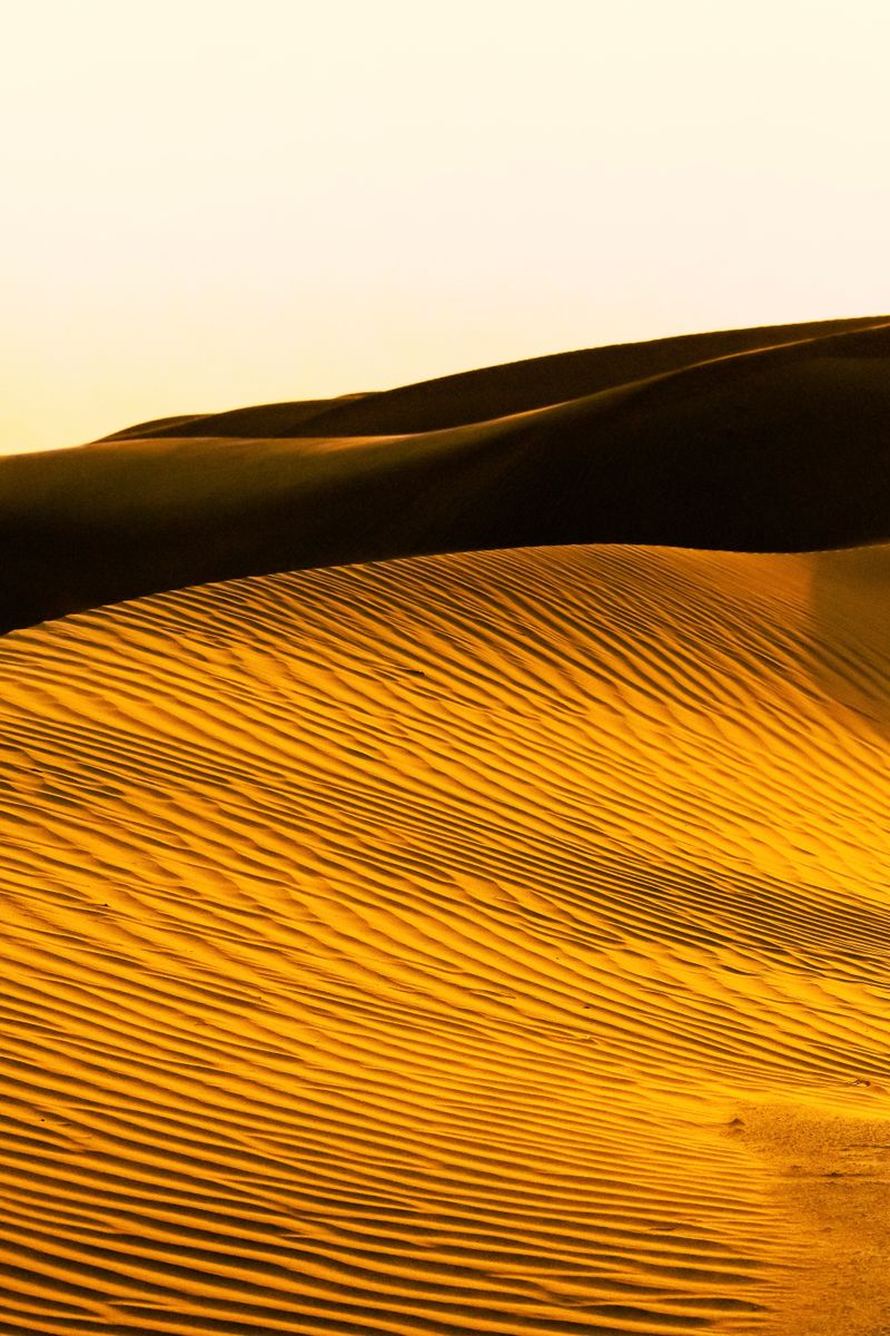 Golden sand dunes raked by low sunlight — photo by Chinar Minar on Pexels