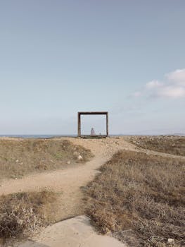 一个孤独的身影被固定在木结构上，俯瞰着干燥的风景与大海