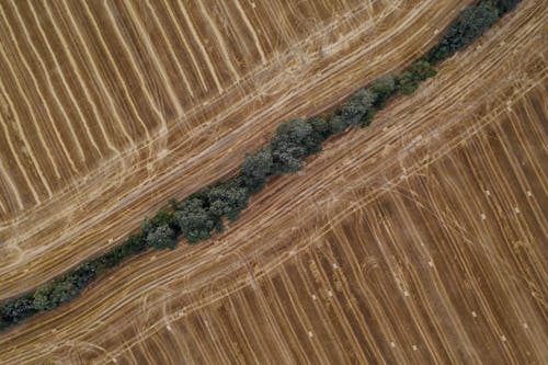 乾燥した平原を横切る木の壁の航空写真