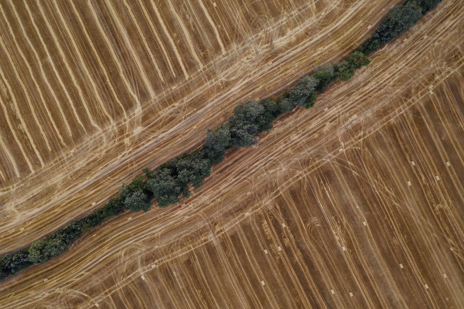 Top-down aerial shot of a harvested farmland with geometric patterns near Poznań, Poland.