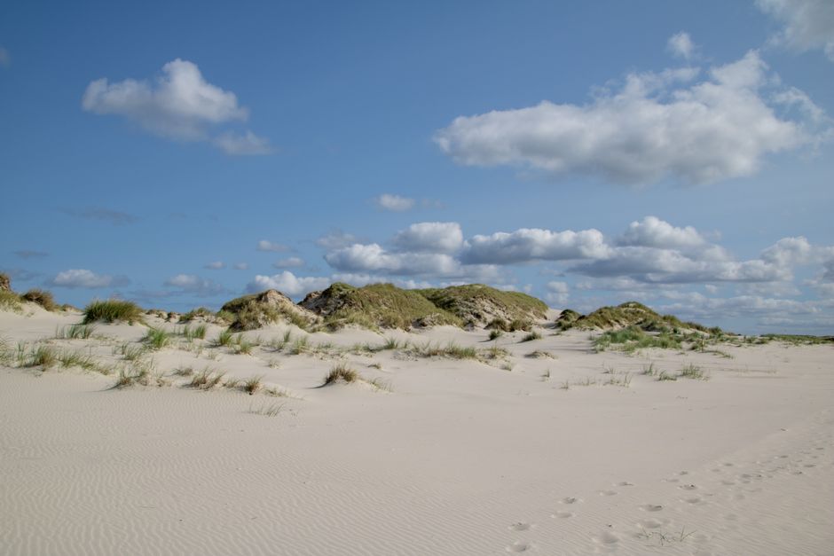Kenfig NNR — view 4