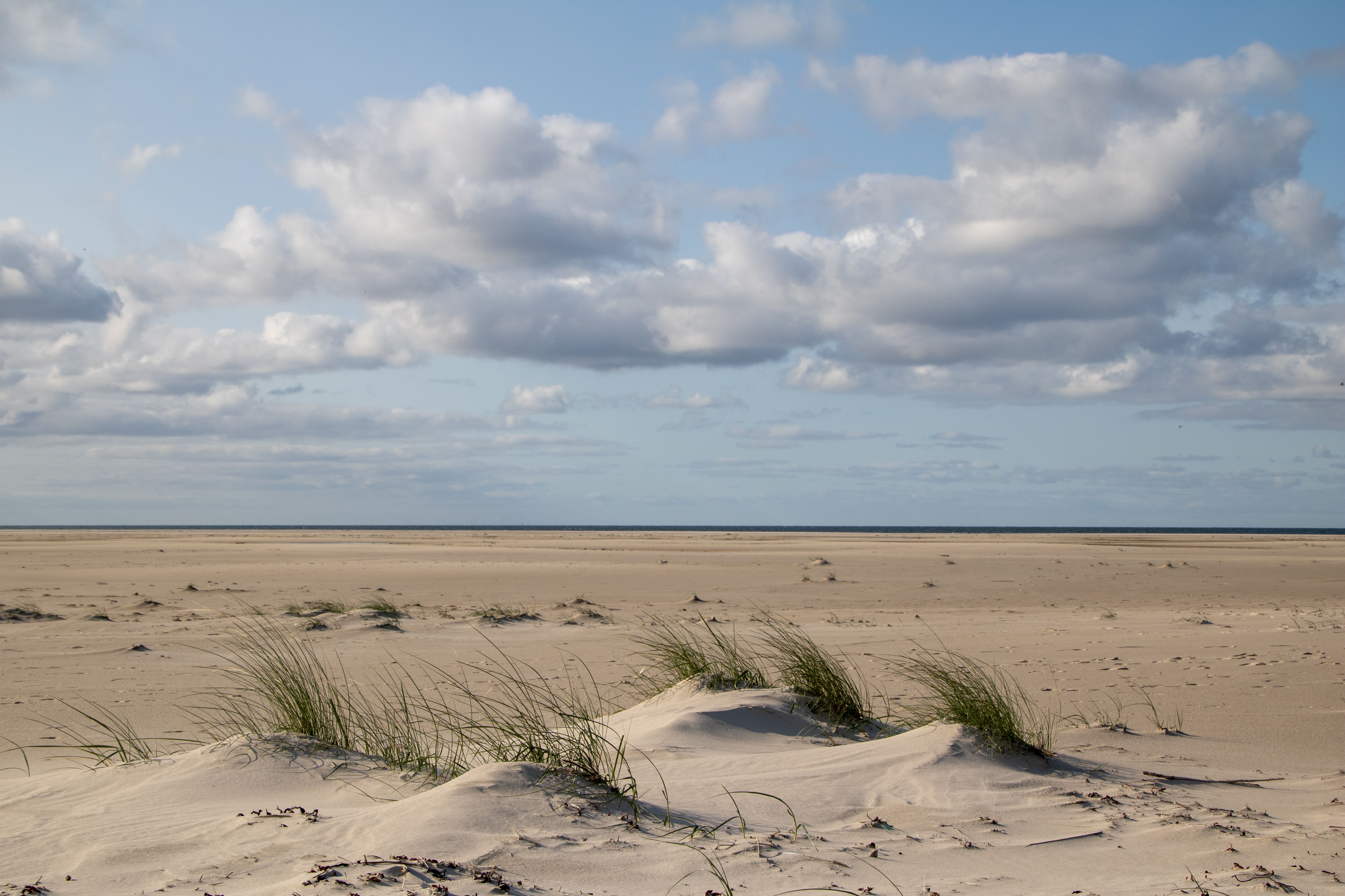 Castricum Dunes Quiet Beach view 3