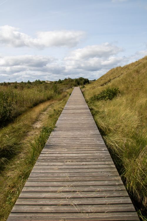 Free Peaceful wooden boardwalk through grassy dunes on Amrum Island in the North Sea. Stock Photo