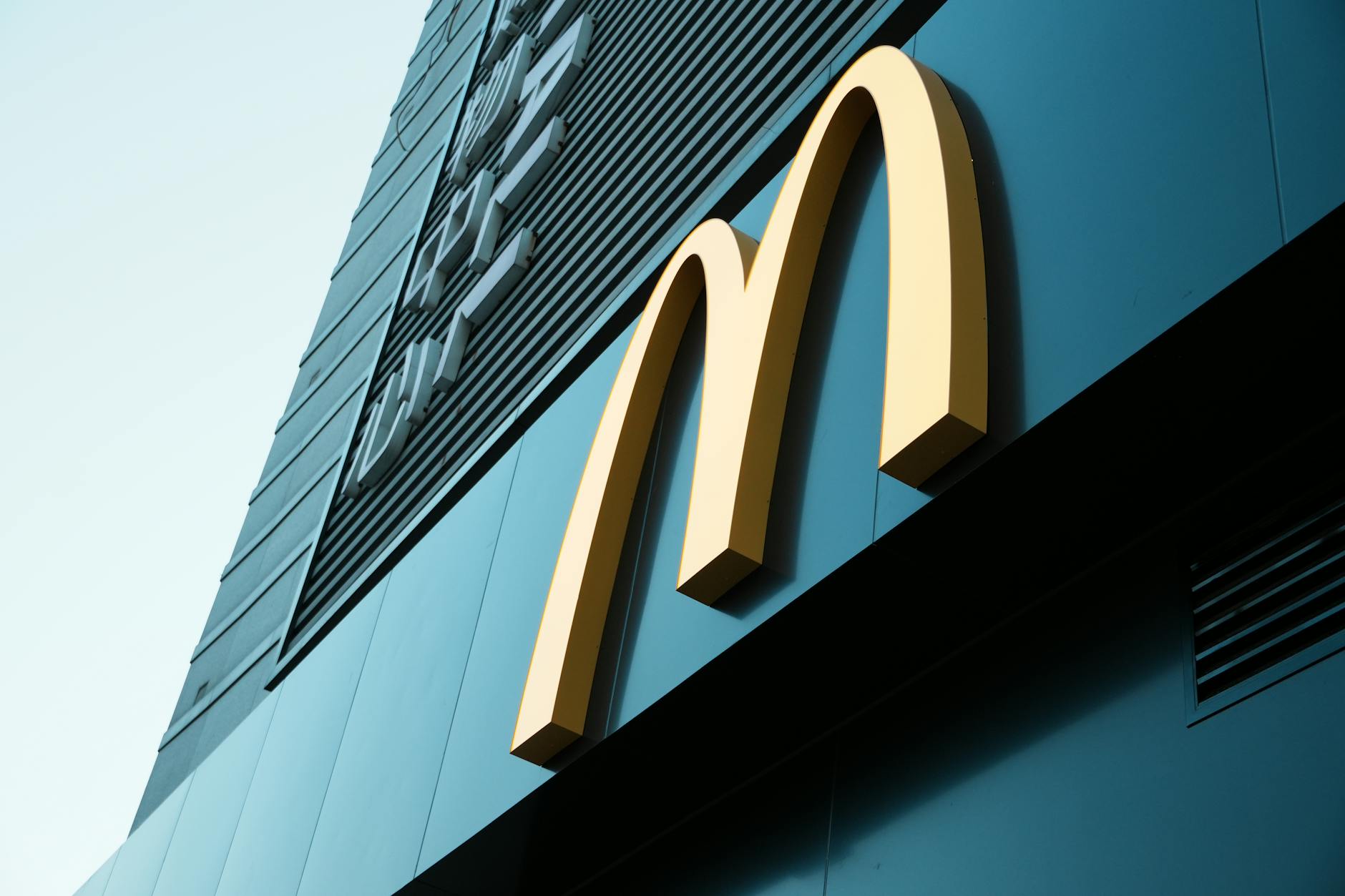 https://www.pexels.com/photo/macdonald-28431524/