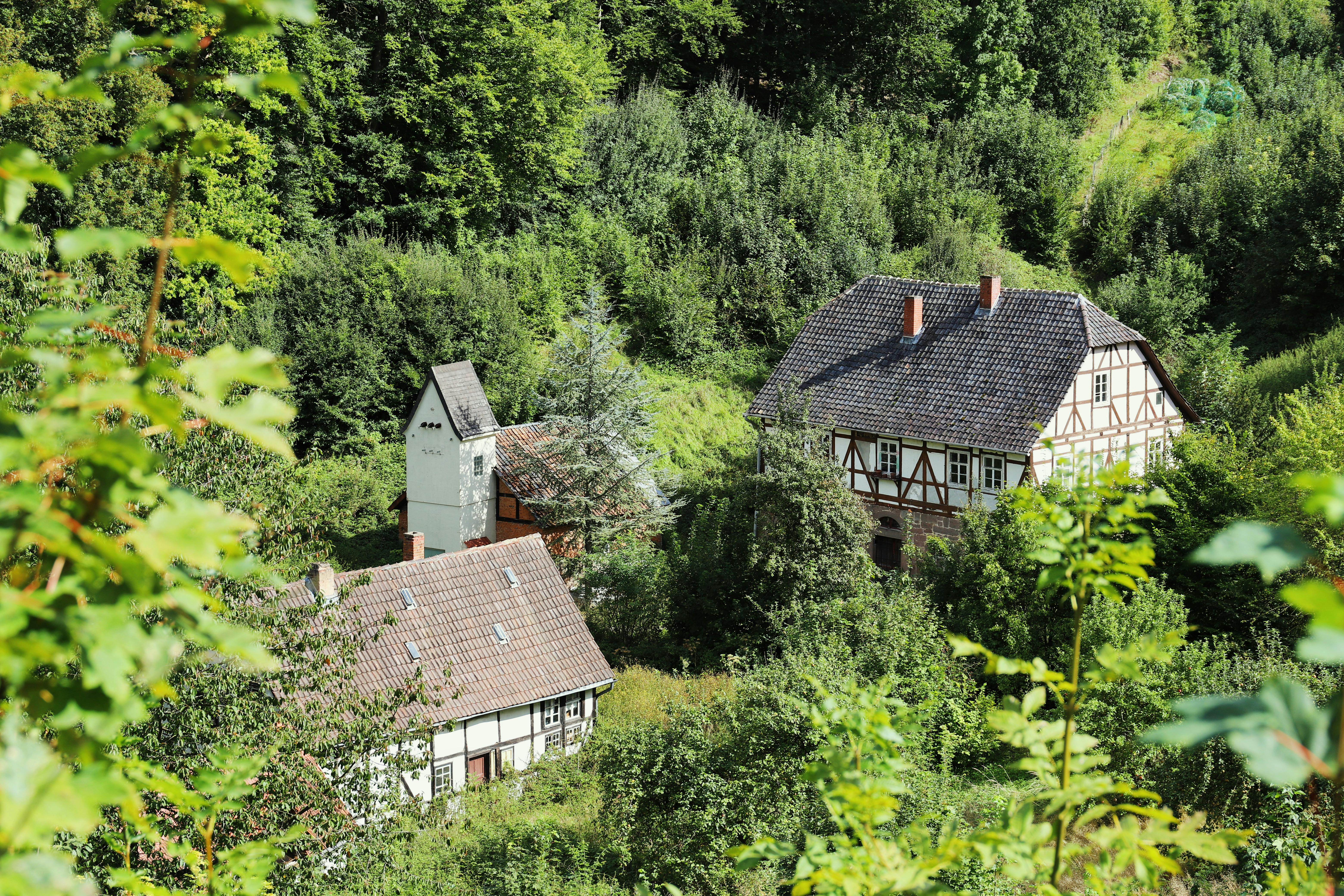 The Ultimate Guide to Becoming Irresistible