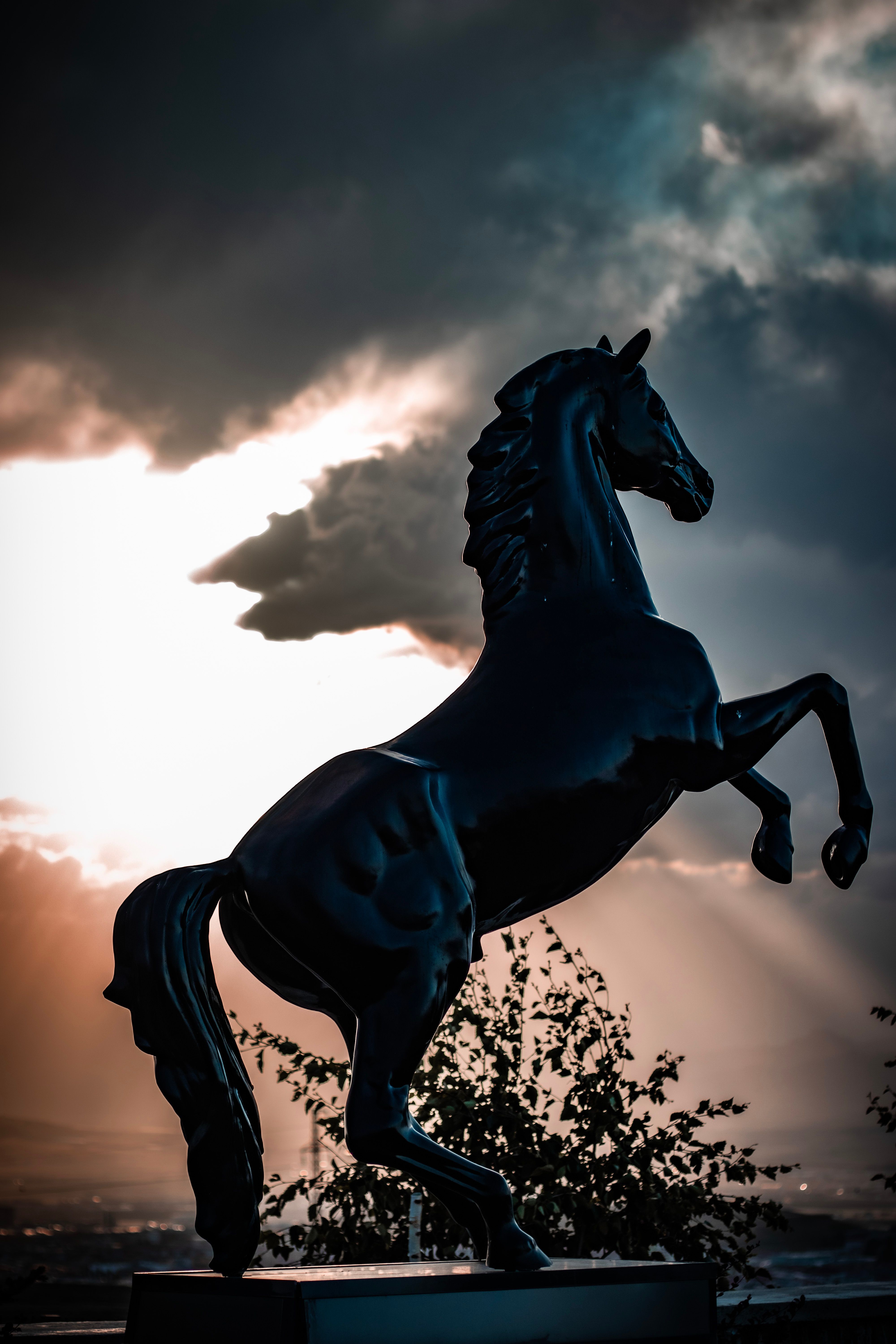 Dramatic Silhouette of Rearing Horse Statue · Free Stock Photo