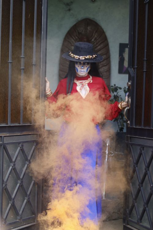 Free Woman in Day of the Dead costume with smoke effect, standing in doorway. Stock Photo