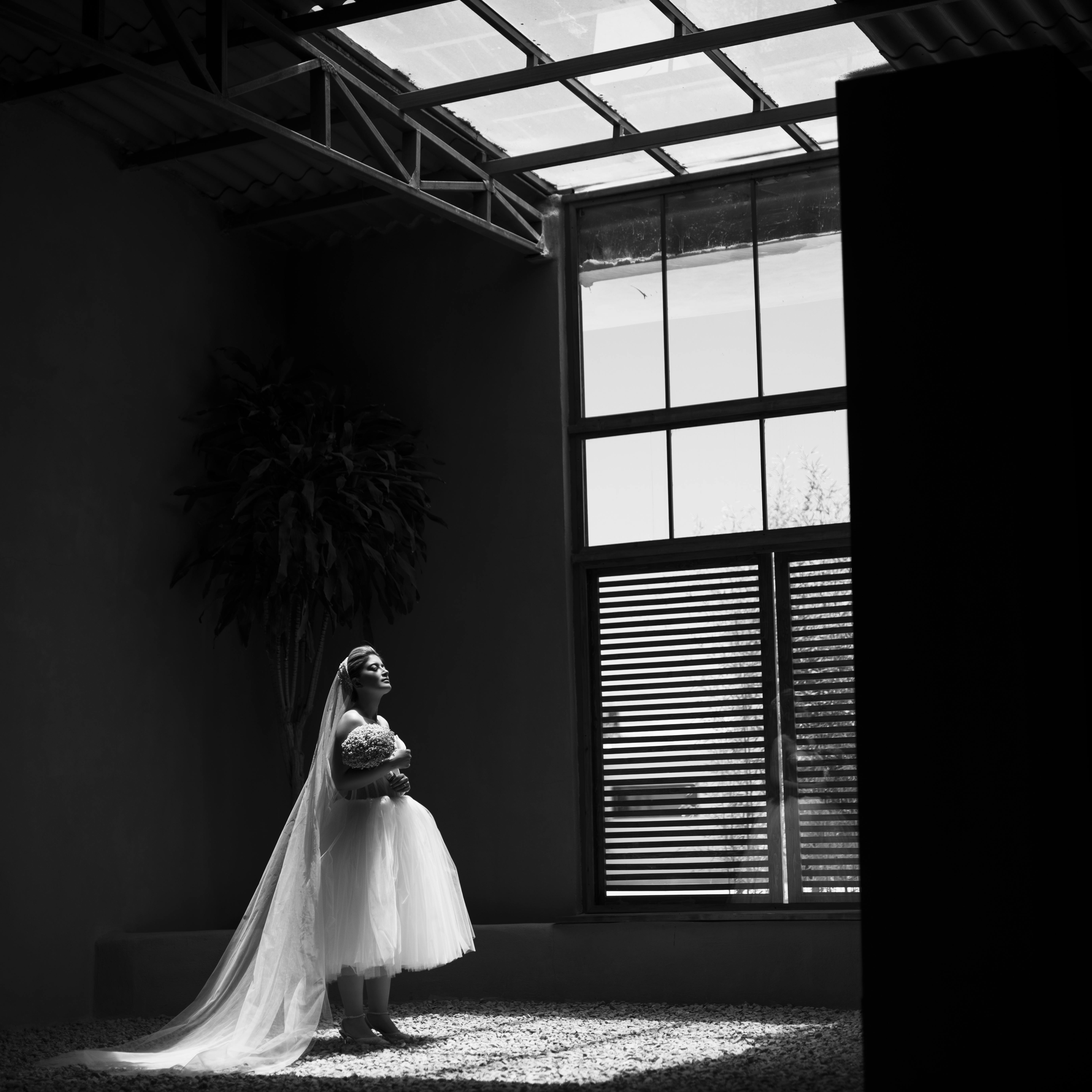 Elegant black and white portrait of a bride standing indoors, illuminated by sunlight.