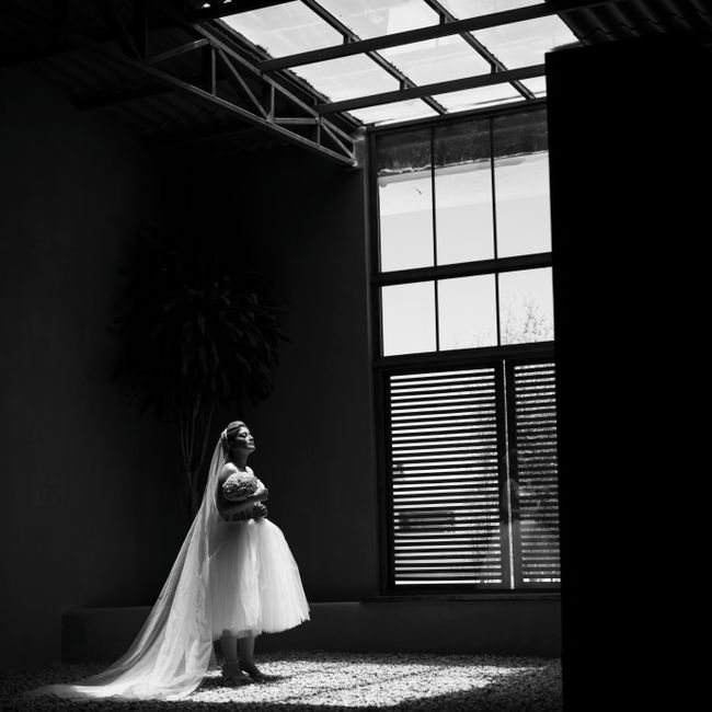 Elegant black and white portrait of a bride standing indoors, illuminated by sunlight.