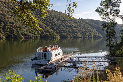Free stock photo of boating