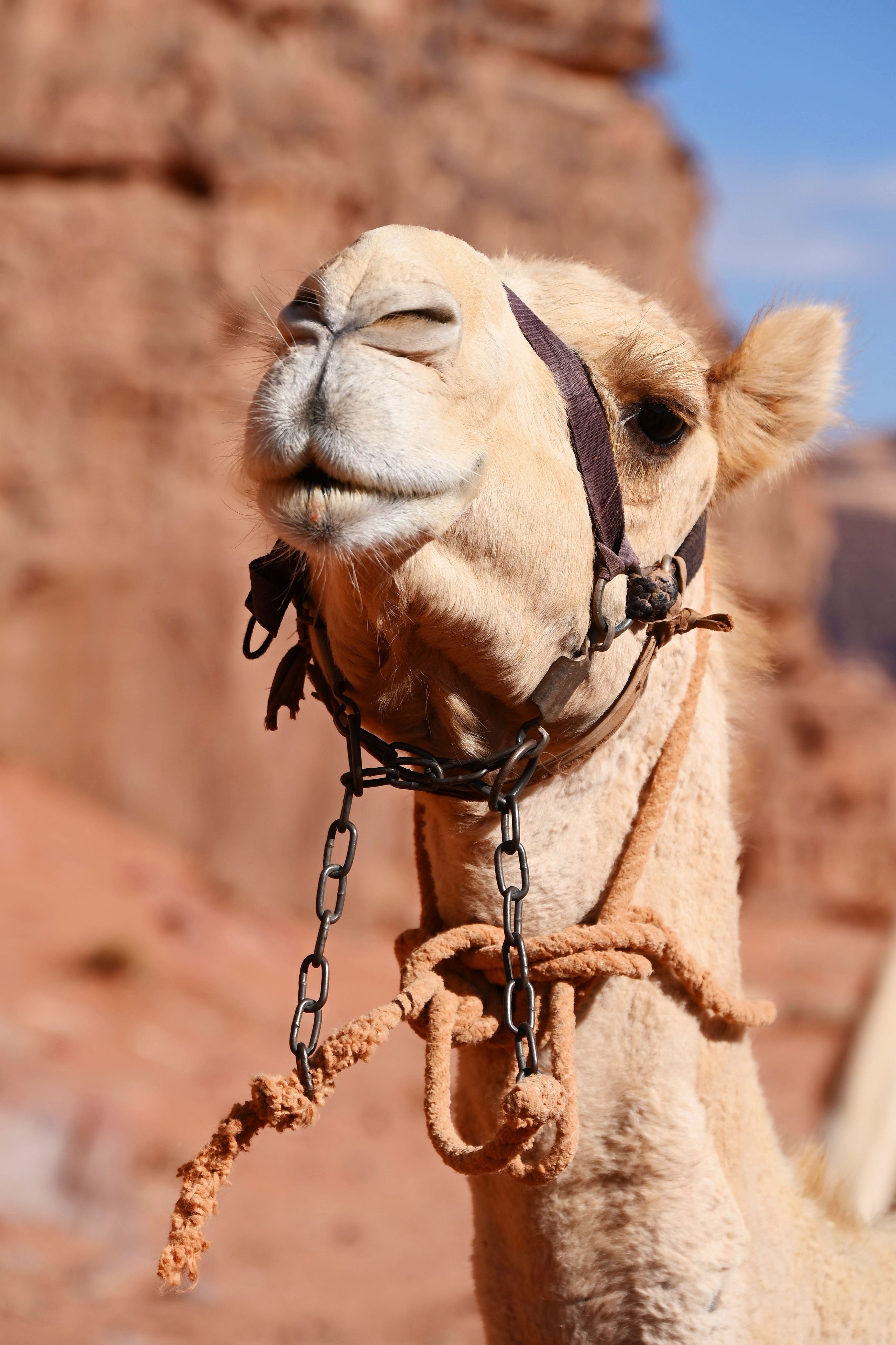 الاقتصاد السعودي من النفط إلى التنويع