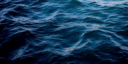 Free Stock Photos Royalty Free Stock Images Copyright Free Pictures Free Stock Photos Royalty Free Stock Images Copyright Free Pictures