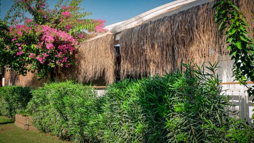 Free stock photo of holiday, hotel, outdoor restaurant Stock Photo