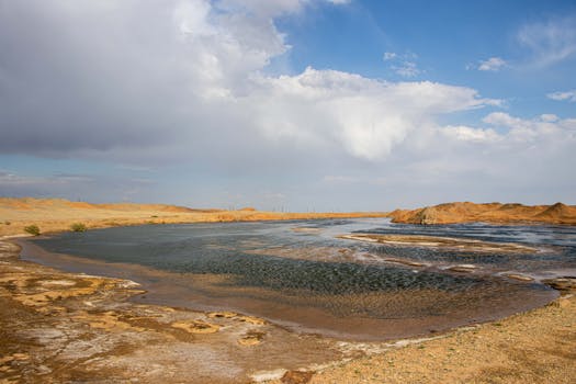 Image by Mohammad Reza Hossaini