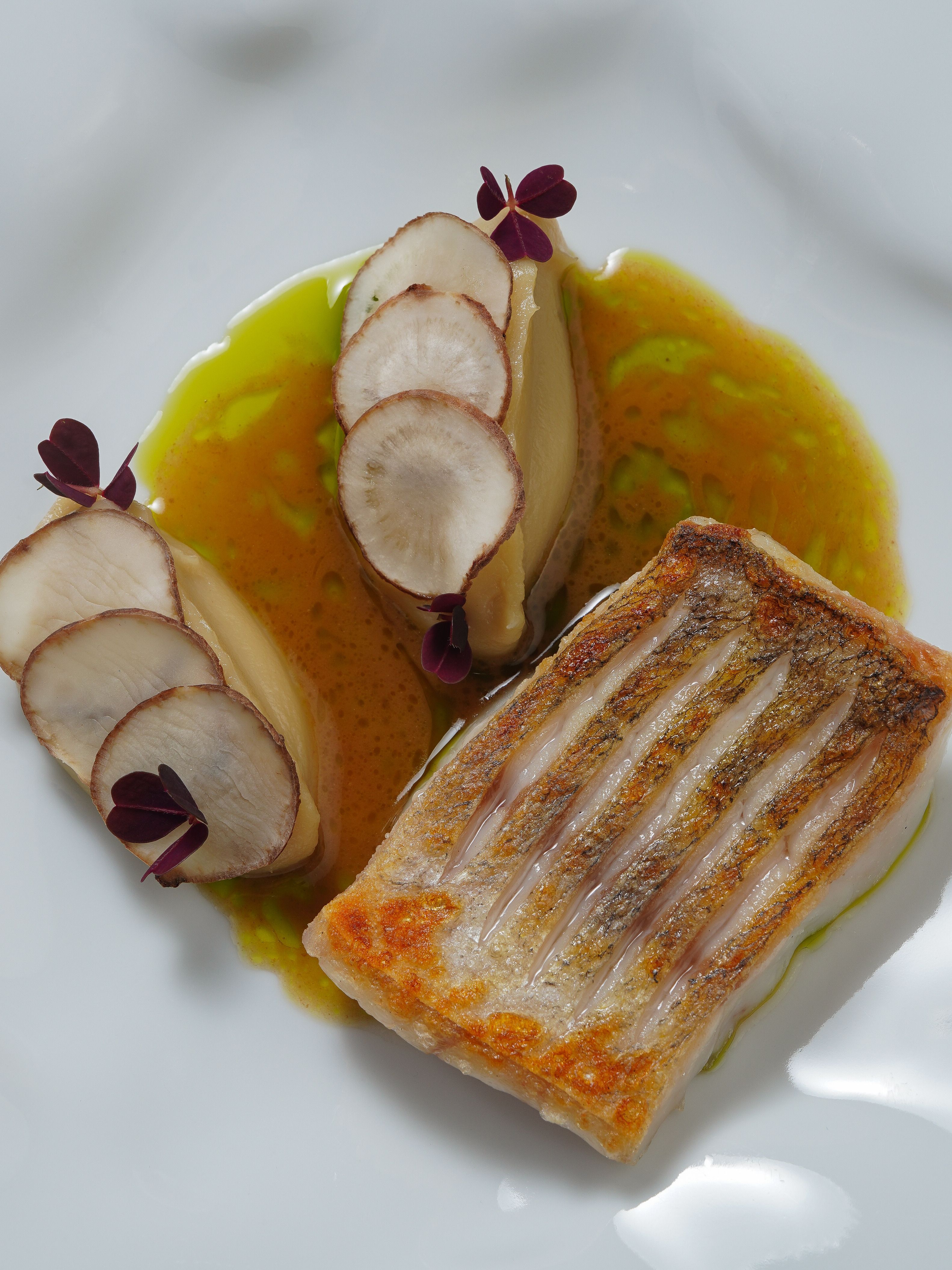 Gourmet Fish Dish with Root Vegetables · Free Stock Photo