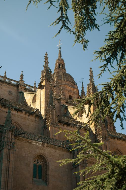 Free Close-up of the intricate Gothic facade of Salamanca Cathedral in sunlight. Stock Photo