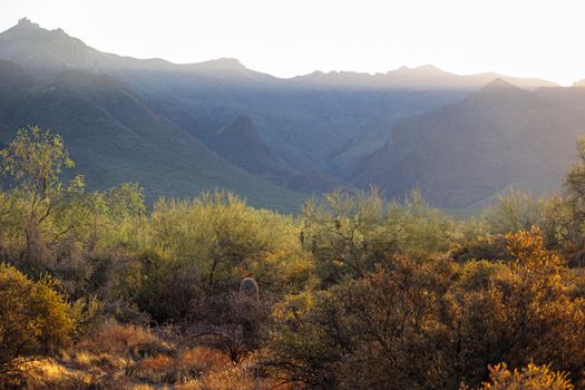 Beautiful sunrise view of the Superstition Mountains in Arizona with desert vegetation.
