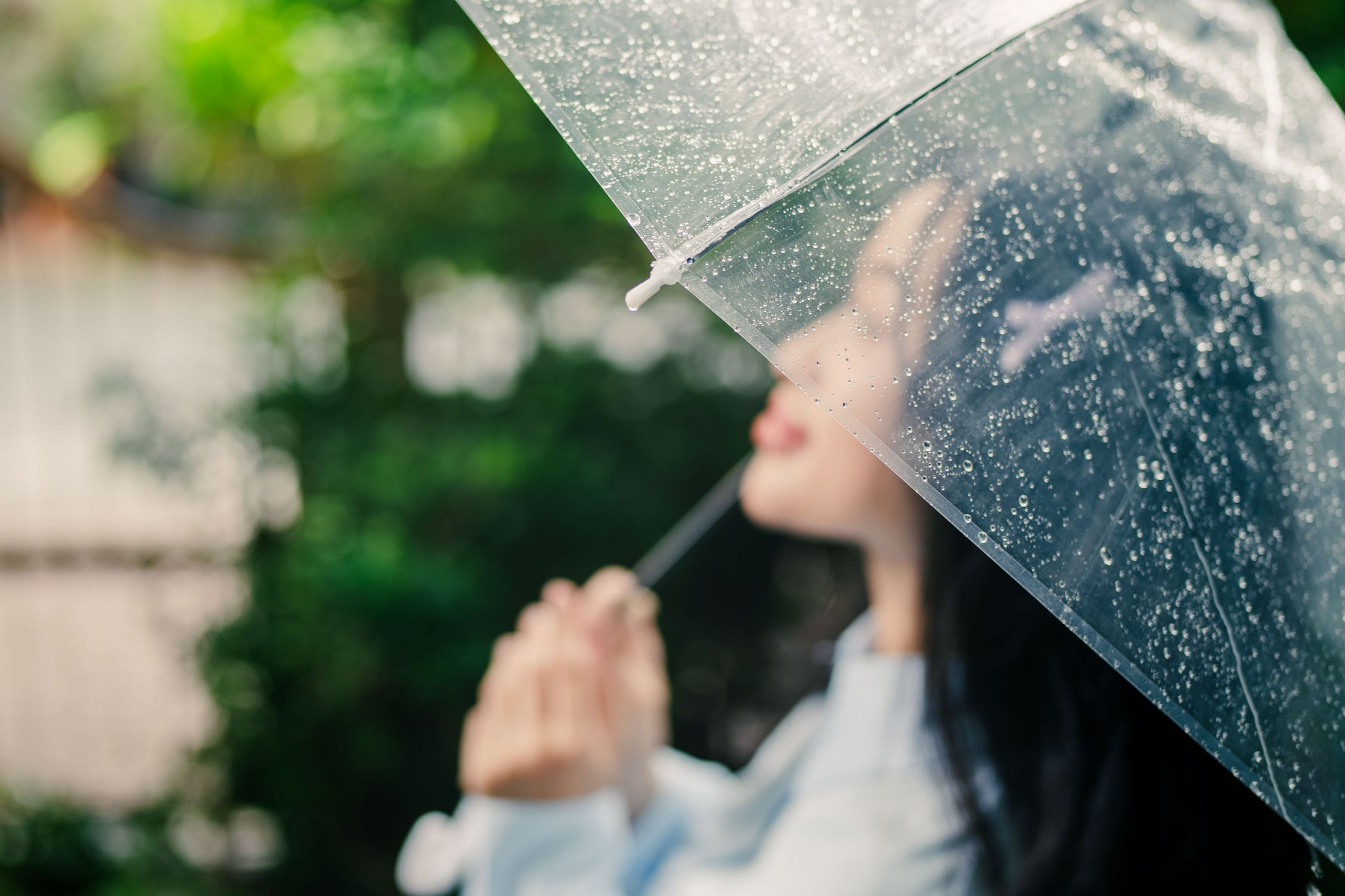 Woman Holding Transparent Umbrella in the Rain · Free Stock Photo