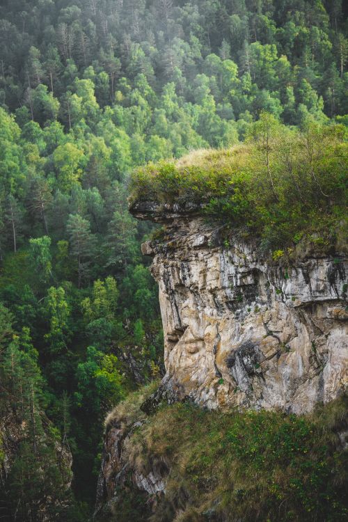 Free Dramatic forest cliff with greenery in a serene summer landscape. Stock Photo