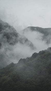Enigmatic view of misty mountains shrouded in fog, creating a mysterious atmosphere.