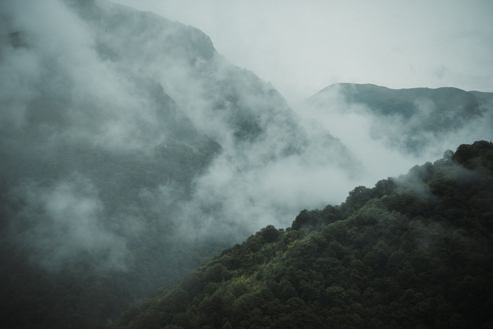 A peaceful misty mountain scene with lush green forests enveloped in clouds. — Zaur Takhgiriev on Pexels
