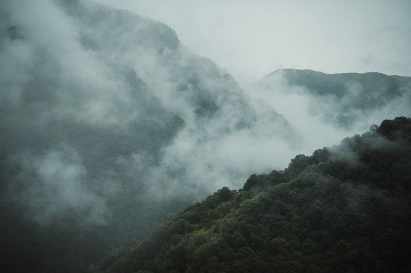 Misty mountain scene with forest — photo by Zaur Takhgiriev on Pexels