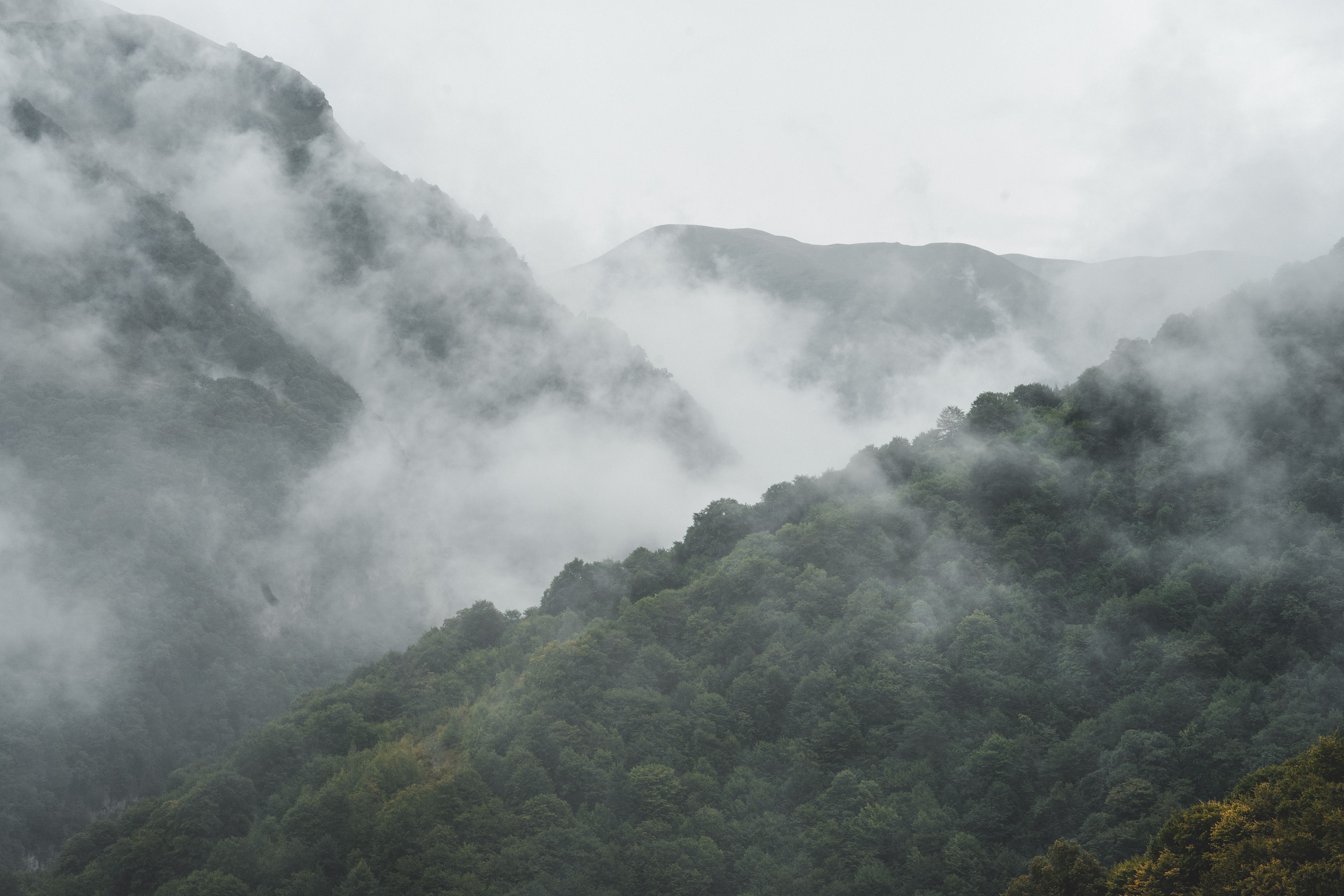 Misty Mountain Landscape with Lush Greenery · Free Stock Photo
