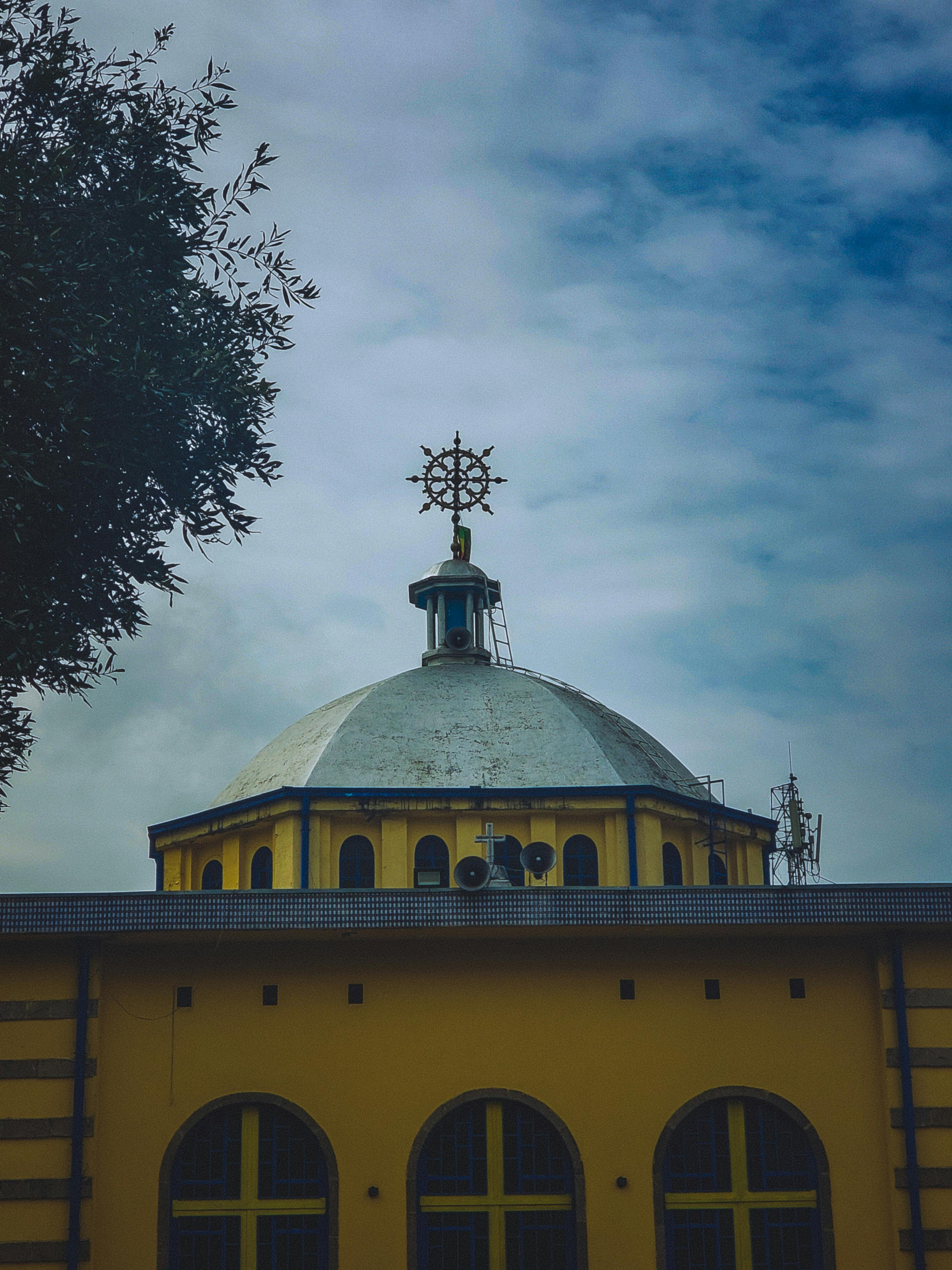 Sexy+Ethio Photos, Download The BEST Free