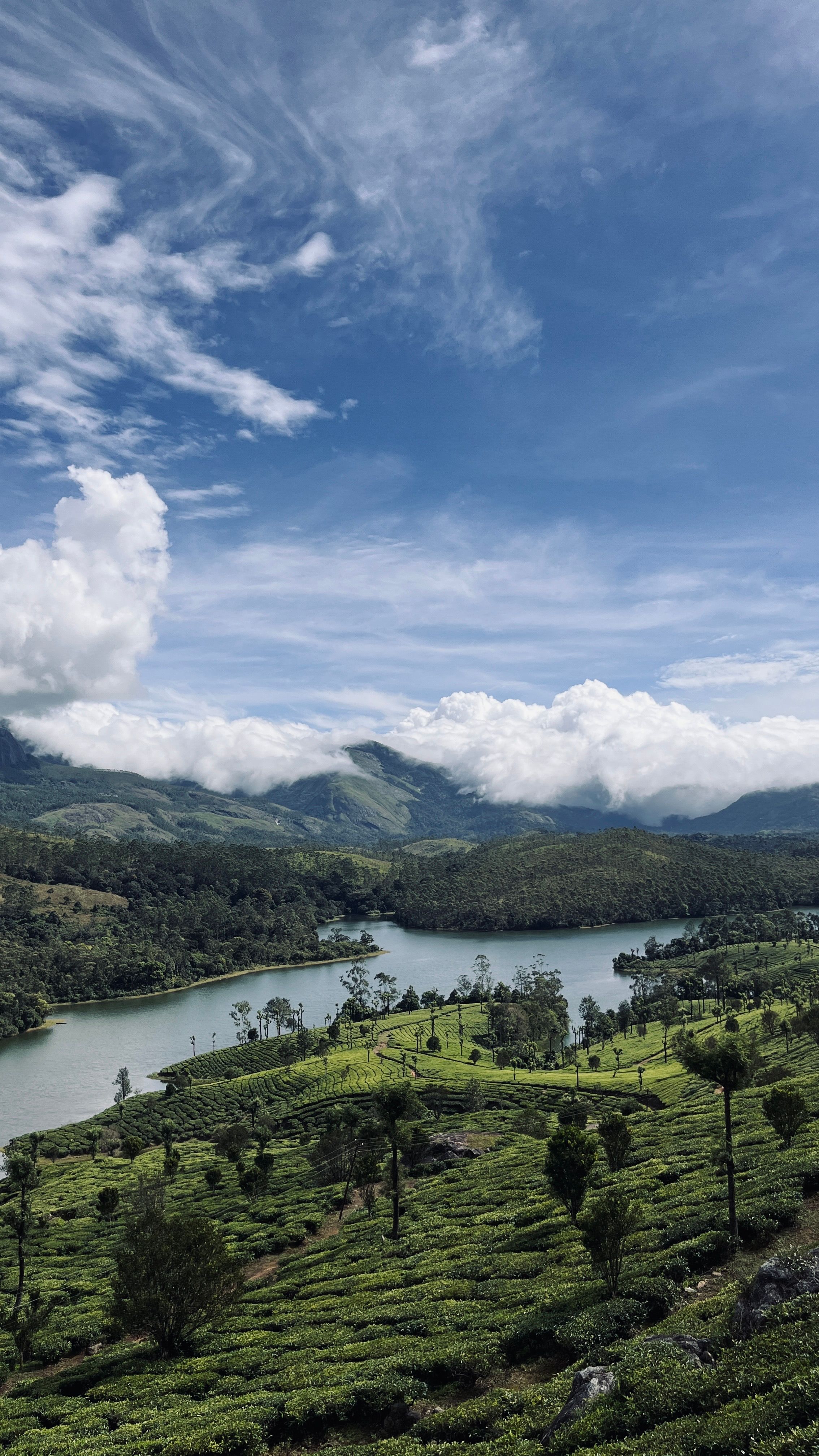 Green Trees Near Lake Under Blue Sky · Free Stock Photo