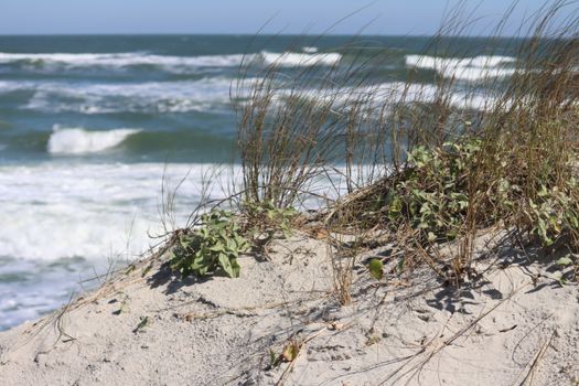 Peaceful scene of ocean waves crashing on sandy dunes under clear blue skies.
