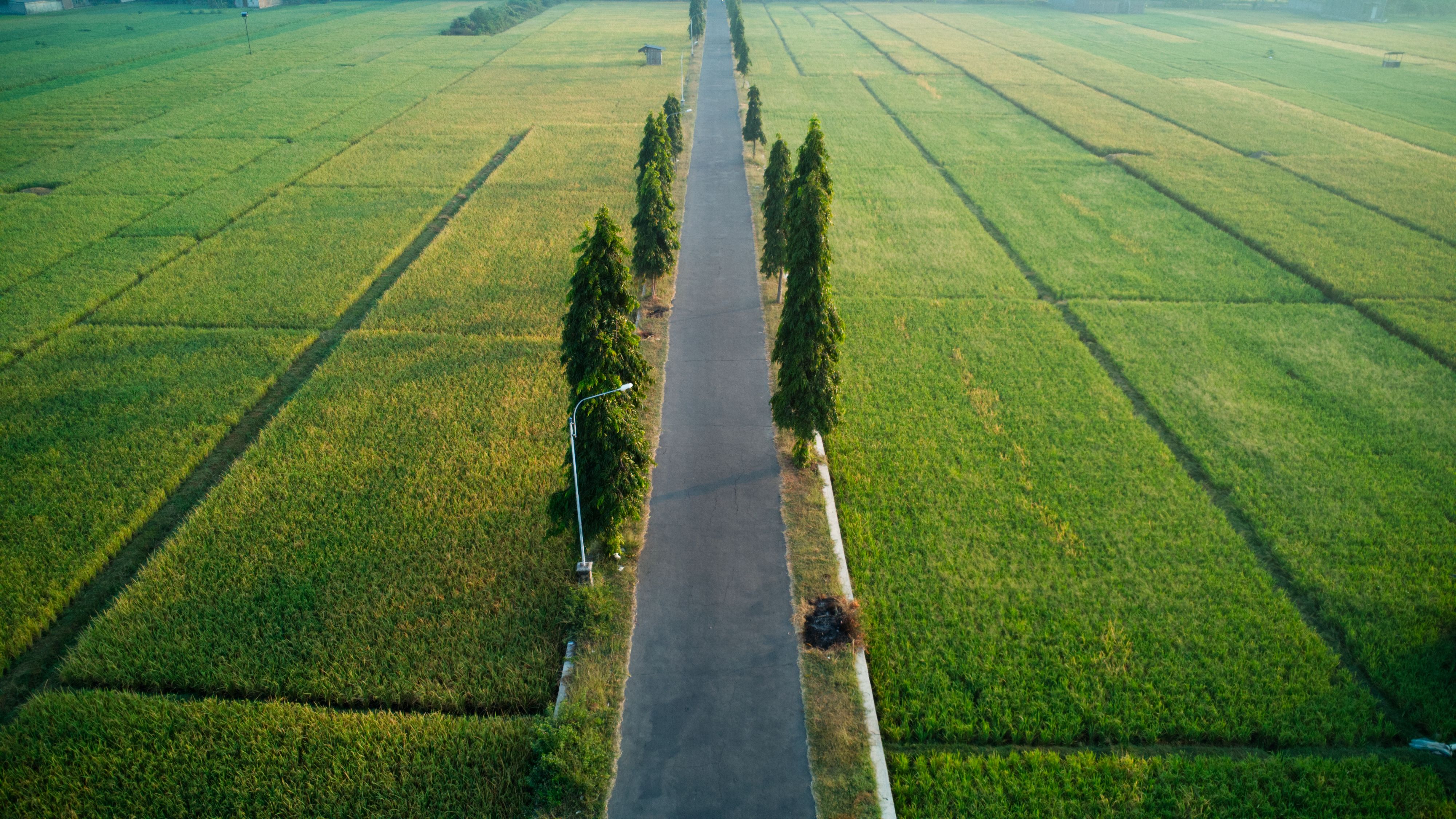 Scenic Aerial View of Rural Green Fields with Road · Free Stock Photo