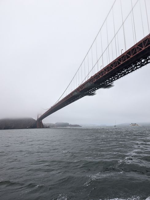 Misty view of the iconic Golden Gate Bridge over San Francisco Bay enveloped in dense fog.