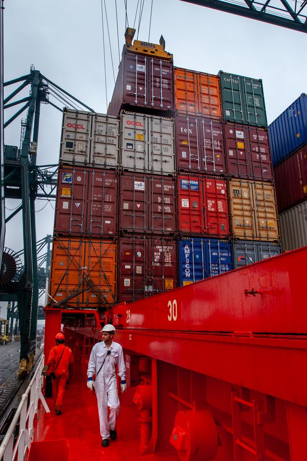 Container Field Work Worker Standing near Containers · Free Stock Photo