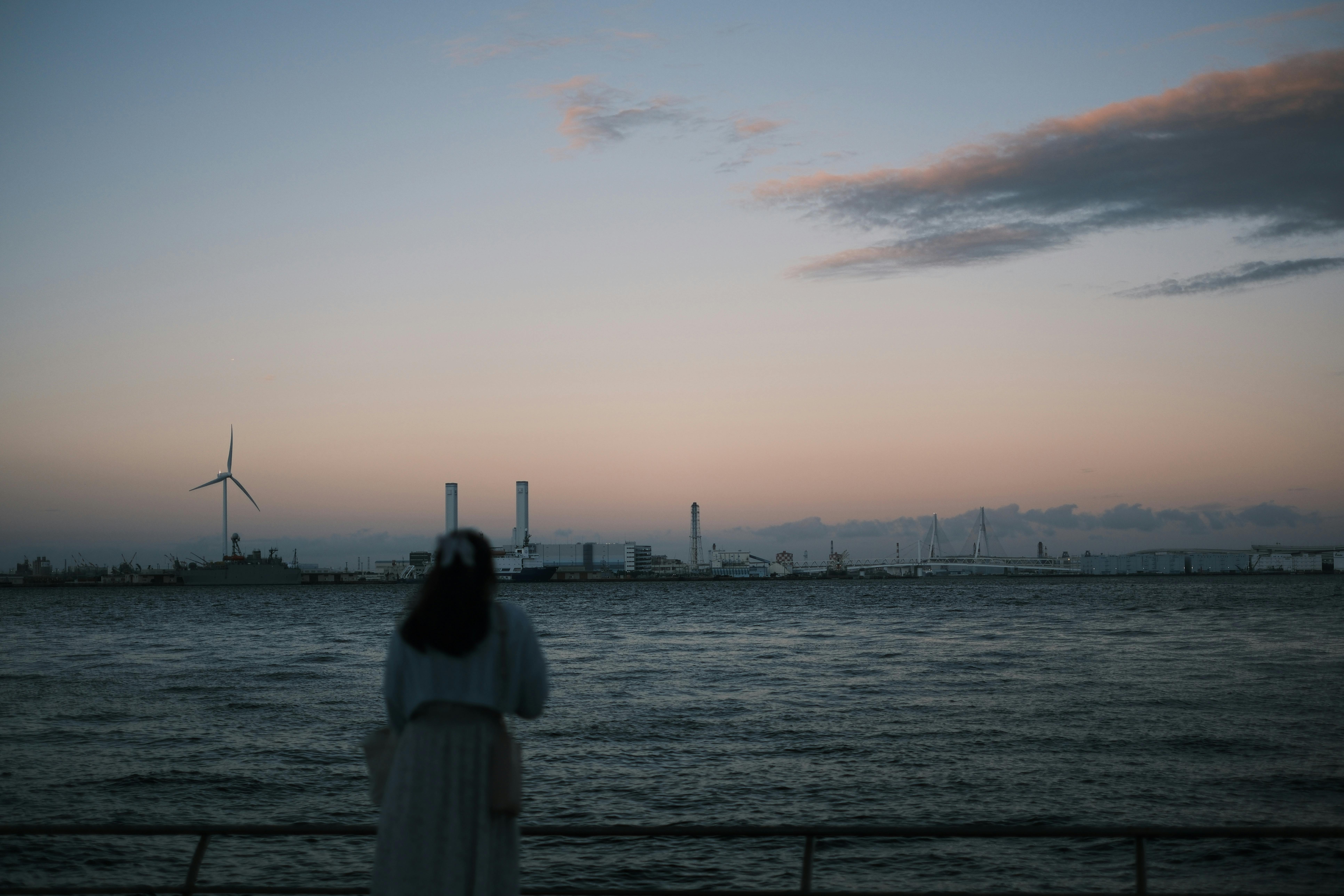 A woman gazes at an industrial landscape at sunset, featuring wind turbines and calm waters.