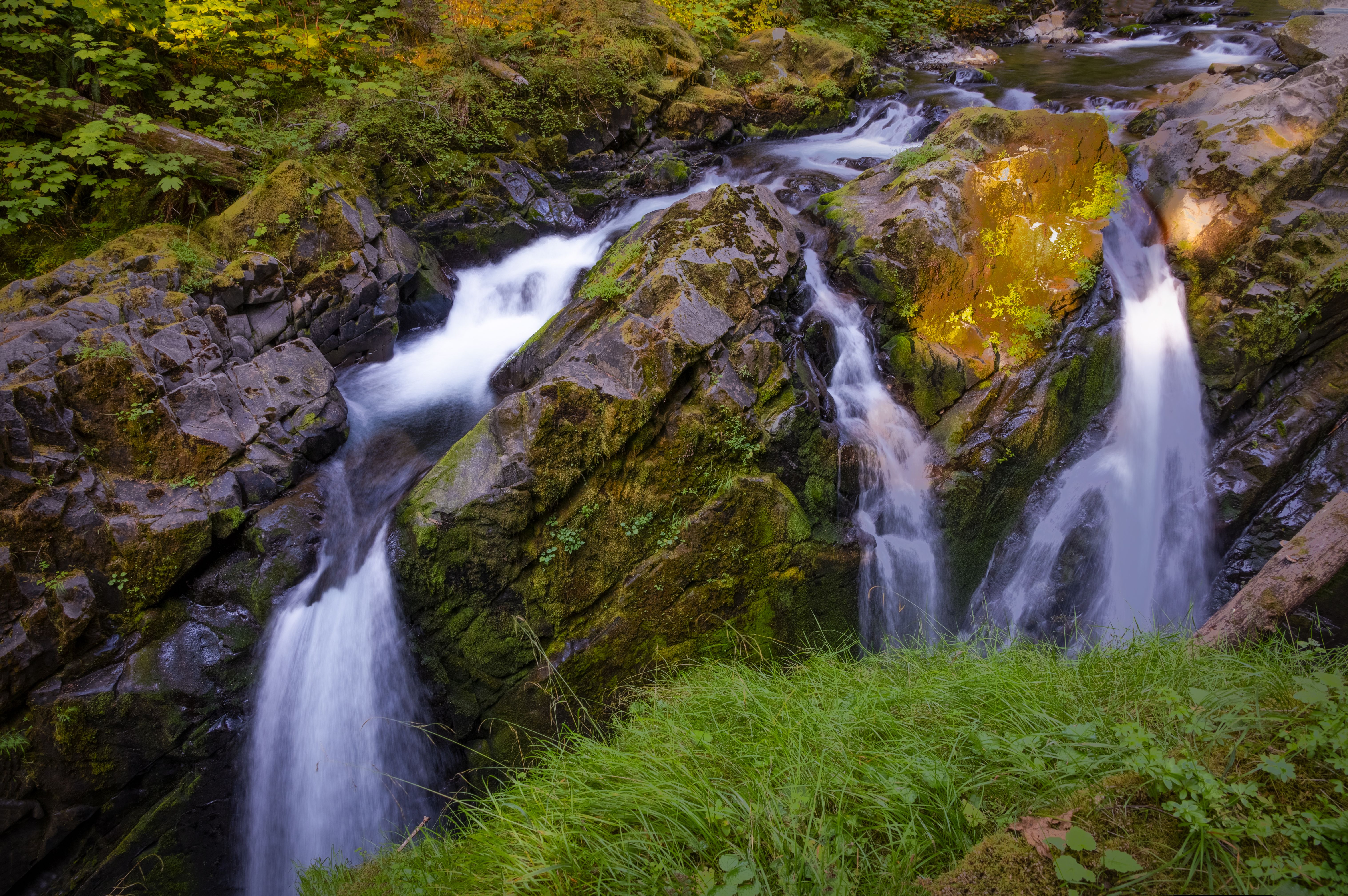 Elwha River and Madison Falls
