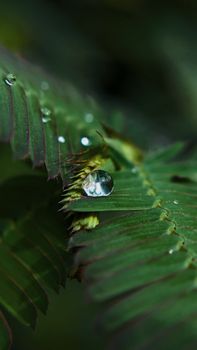 Image by Khánh Phạm
