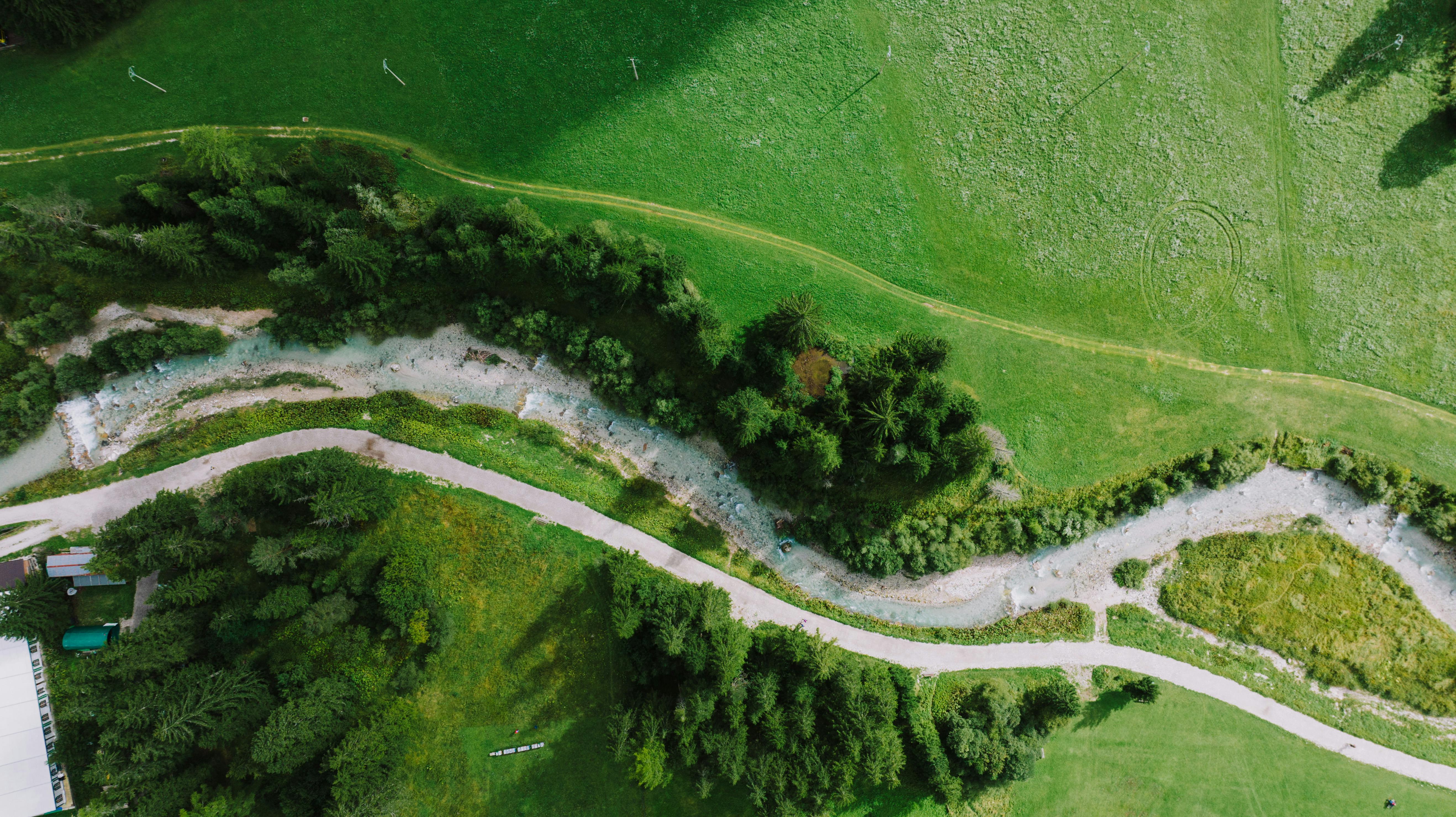 IT and Environmental, Social, and Corporate Governance (ESG), Part One: A CEO and Board Concern — Photo by K on Pexels