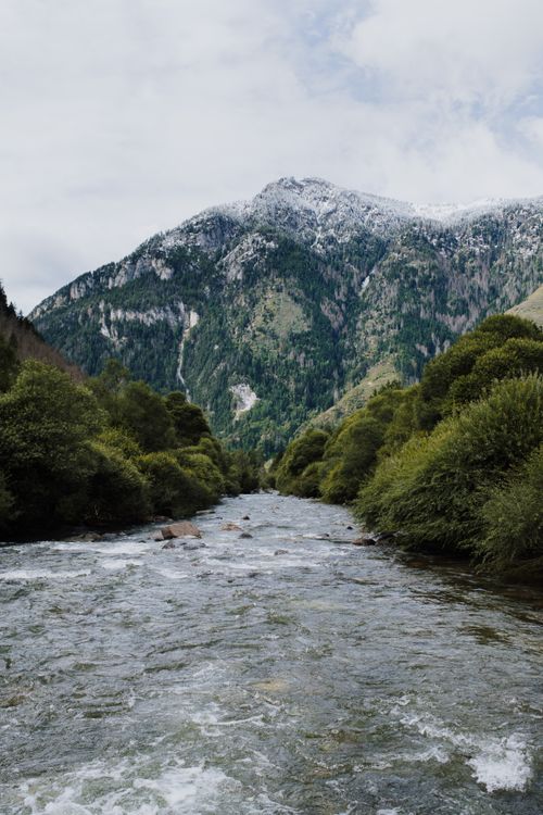 Free Peaceful mountain stream flowing through lush greenery in Predazzo, Italy. Stock Photo