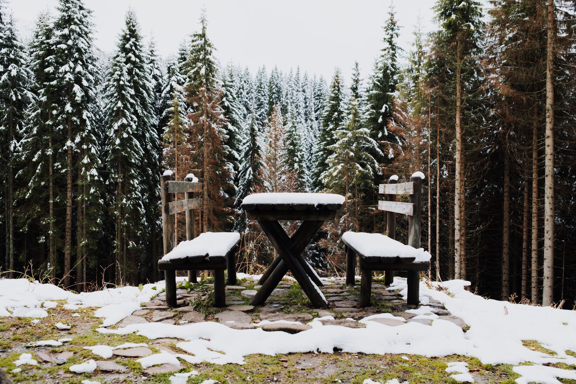 A serene winter scene with a snow-covered picnic table in a frosty pine forest.