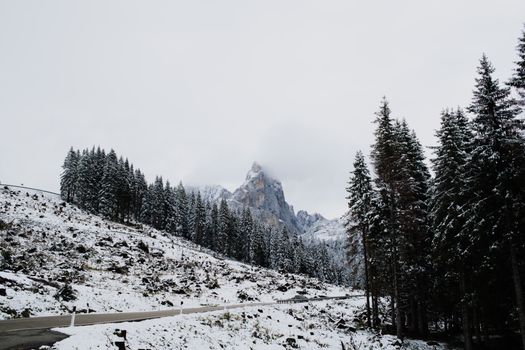 Serene alpine view featuring snow-covered pine trees and mountains in winter.